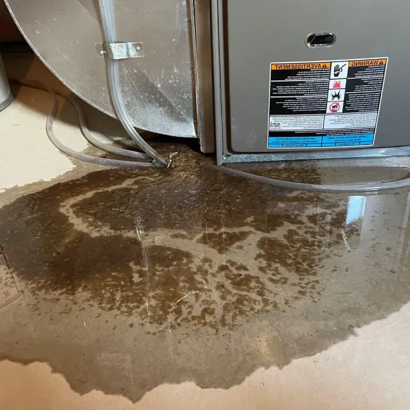 Pipe Burst and Leak Restoration in West Jordan, UT